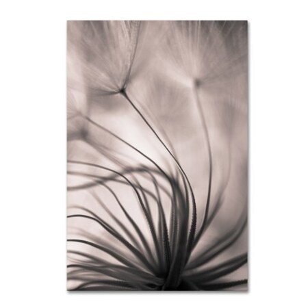 Trademark Fine Art